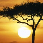Top Places to visit in Africa