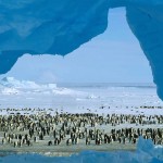Top Places To Visit in Cool Lonely Planet Antarctica Atka Bay, Weddell Sea, Antarctica