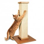 How to Find Right Pet Supplies Right Pet Supplies