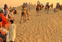Top Best Things to do in United Arab Emirates Desert Safari Dubai