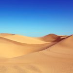 Having fun with An Exciting Desert Safari In Dubai Welcome To Golden Sands dubai desert safari