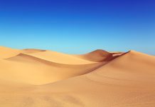 Having fun with An Exciting Desert Safari In Dubai Welcome To Golden Sands dubai desert safari