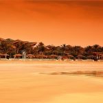 Dubai Desert Safari Tours, Dubai Traveler Reviews