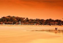 Dubai Desert Safari Tours, Dubai Traveler Reviews