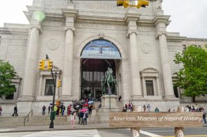American Museum of Natural History