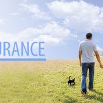 Just How To Select A Reliable Life Insurance Company Reliable Life Insurance Company