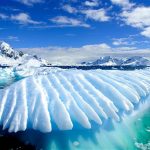 History of Antarctica – Facts, Culture & Points of Interest History of Antarctica