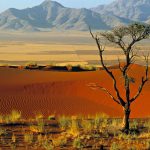 Namibia Info – Facts, Culture and Points of Interest Namibia Info