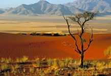 Namibia Info – Facts, Culture and Points of Interest Namibia Info