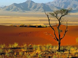 Namibia Info