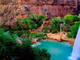 Havasu Falls