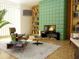 Indoor Plants