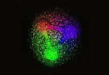 Protons might be more flexible than physics predicts Protons